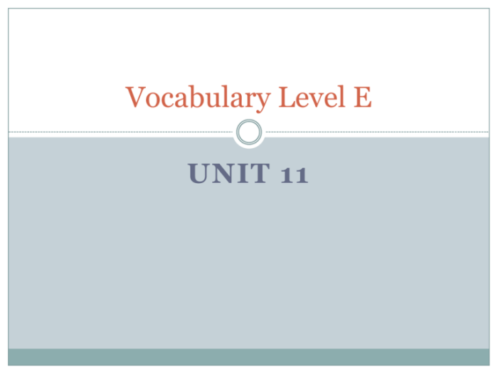 Vocabulary level e unit 4