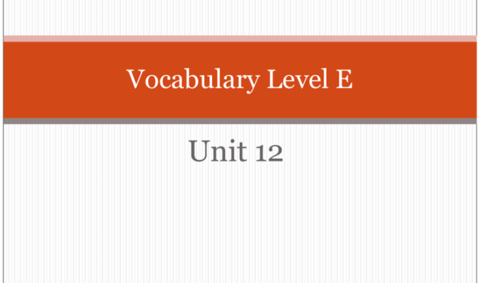 Vocabulary level e unit 4