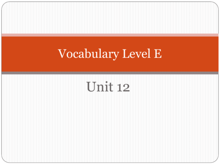 Vocabulary level e unit 4