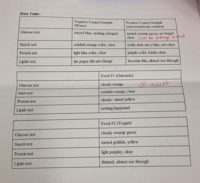 Hbs 2.4.2 student response sheet