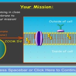 Ipad app cell defense the plasma membrane