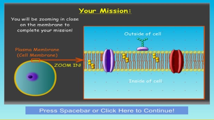 Ipad app cell defense the plasma membrane