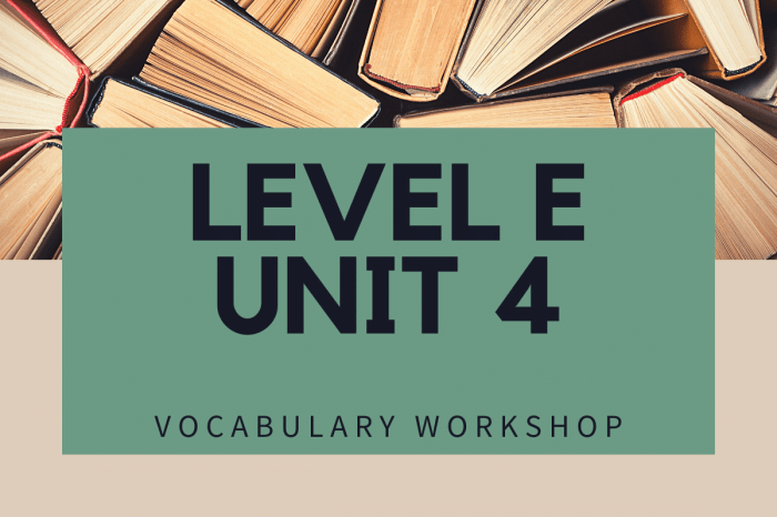 Vocabulary level e unit 4