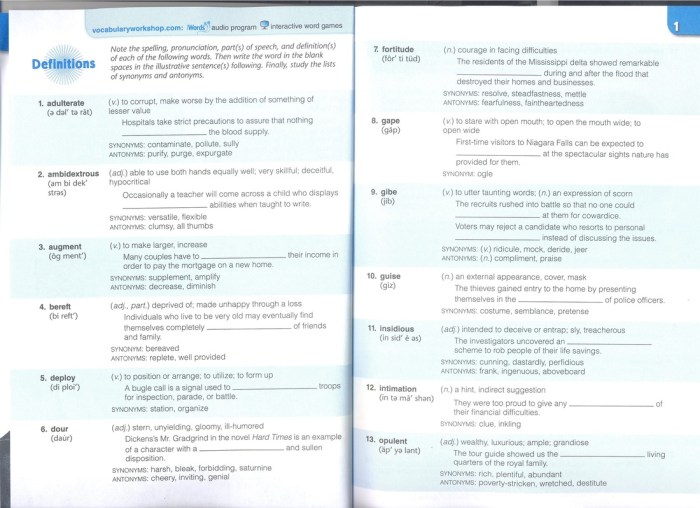 Vocabulary level e unit 4