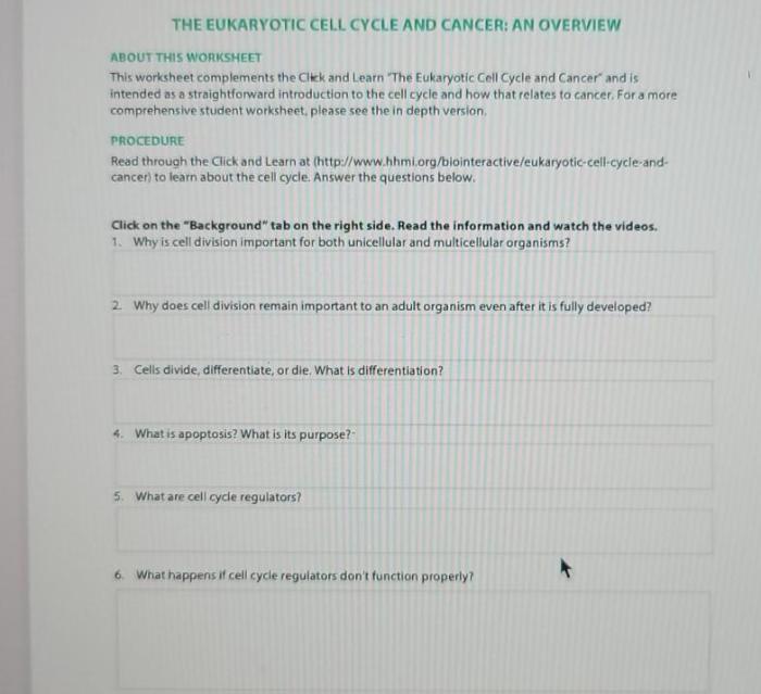 The eukaryotic cell cycle and cancer overview answer key