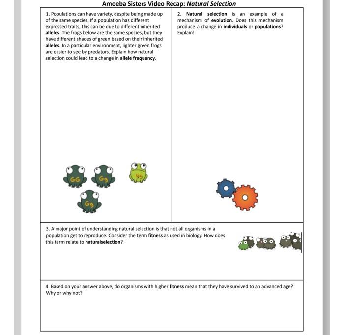 Amoeba sisters video recap natural selection answer key