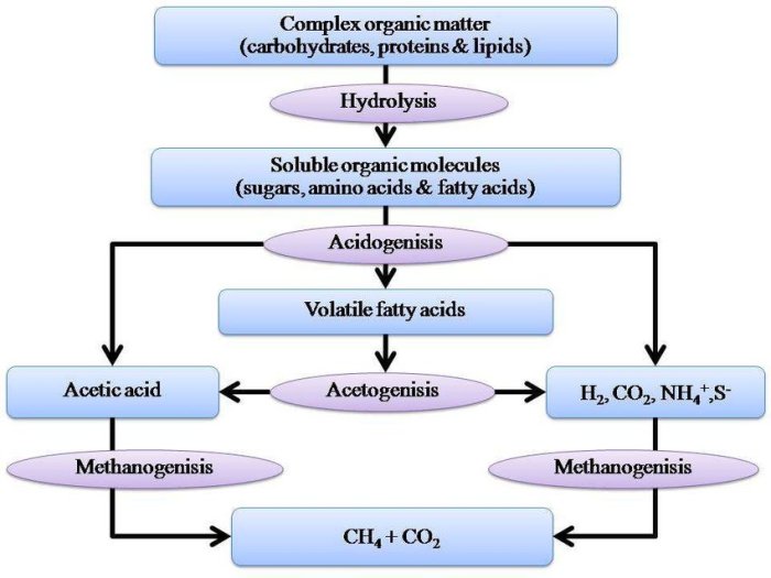 Identify all correct statements about the basic function of fermentation.