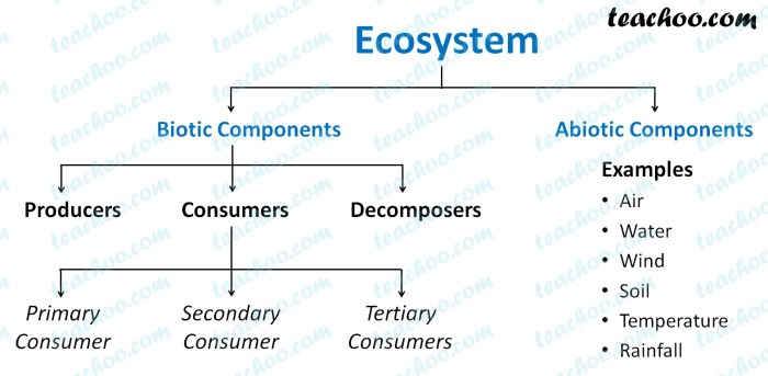 Abiotic components of an ecosystem include quizlet