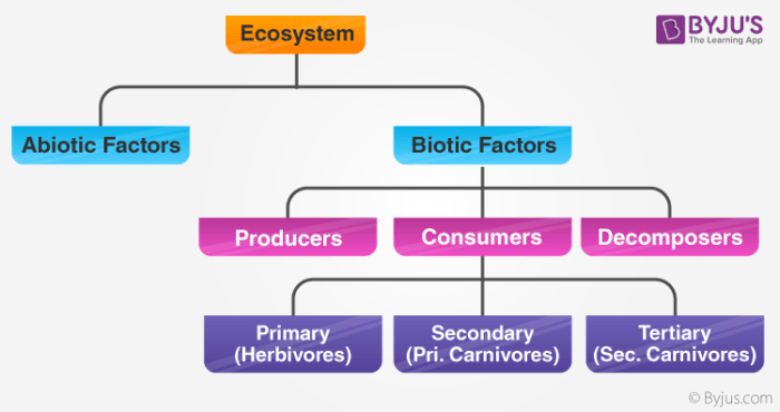 Ecology abiotic components biology definition levels