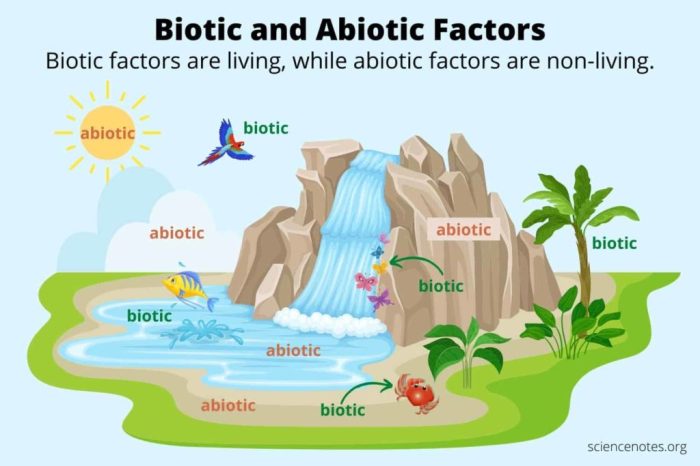 Abiotic components of an ecosystem include quizlet